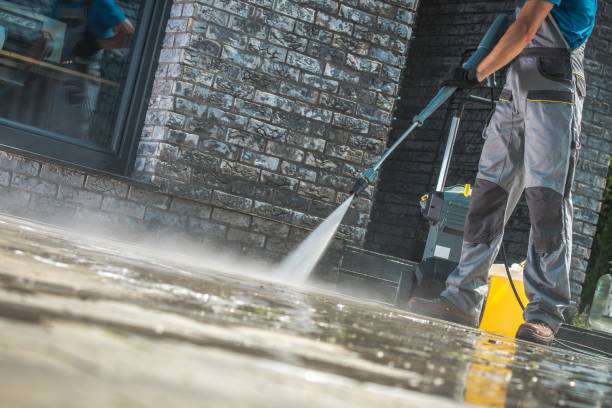 Best Animal Enclosure Cleaning  in Port Jefferson, NY