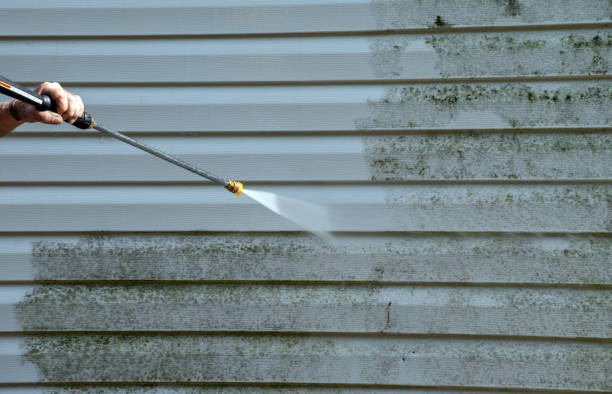 Best Patio and Deck Pressure Washing  in Port Jefferson, NY