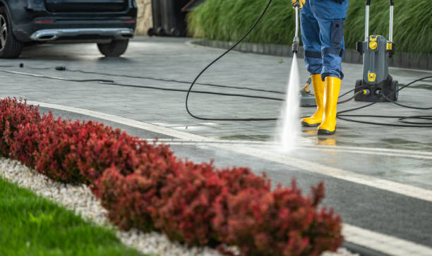 Best Roof Washing  in Port Jefferson, NY